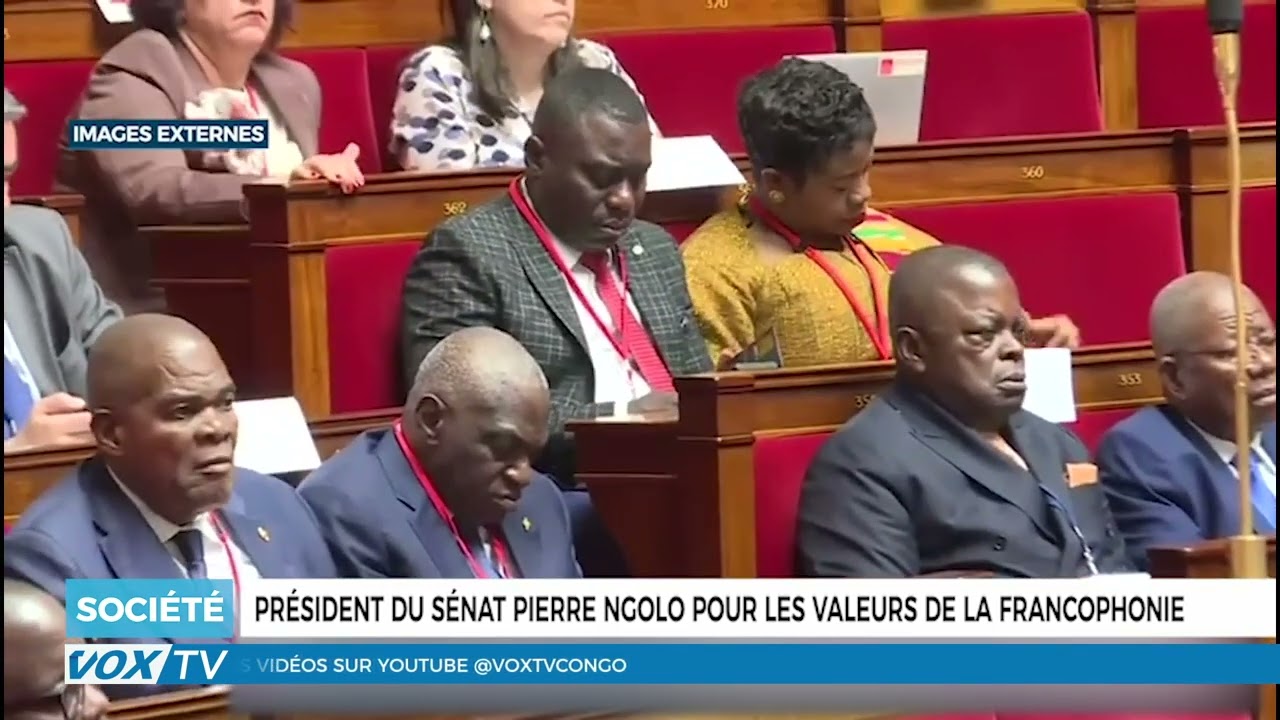 Le Président du Sénat, Pierre Ngolo, pour les valeurs de la Francophonie