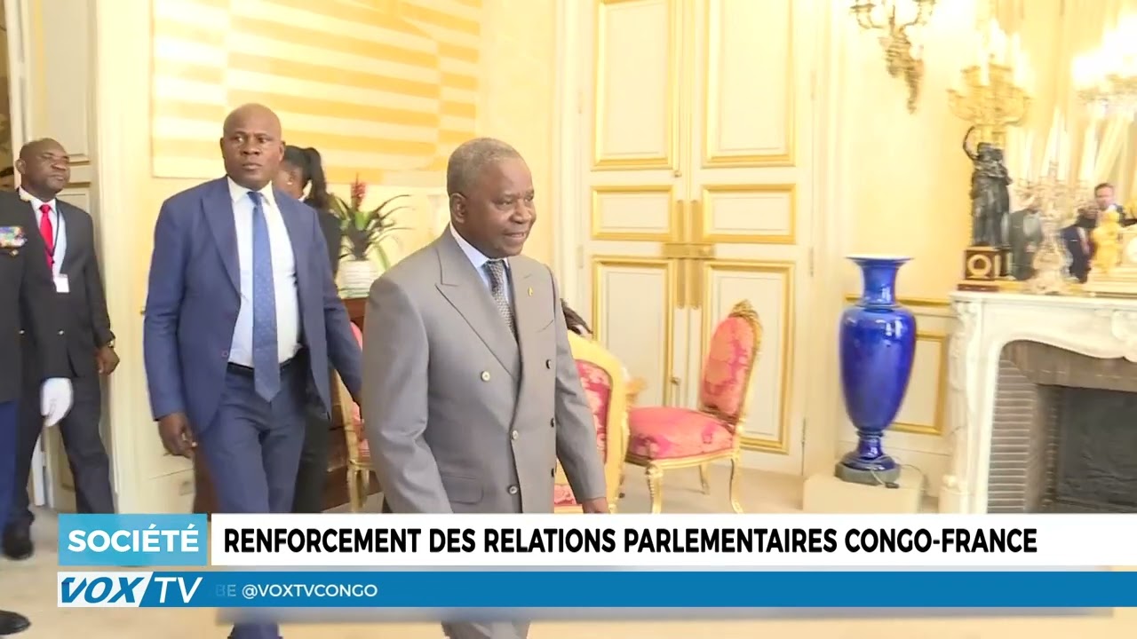 Vers un renforcement des relations parlementaires Congo-France