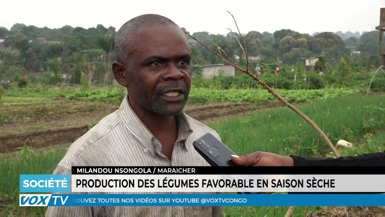 Production des légumes favorable en Saison sèche