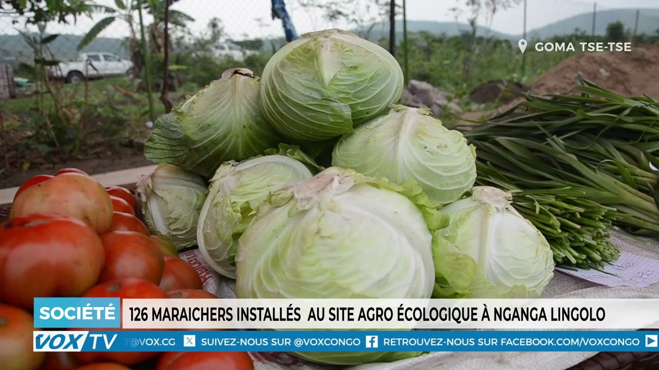 126 maraichers installés  au site agro écologique à Nganga lingolo