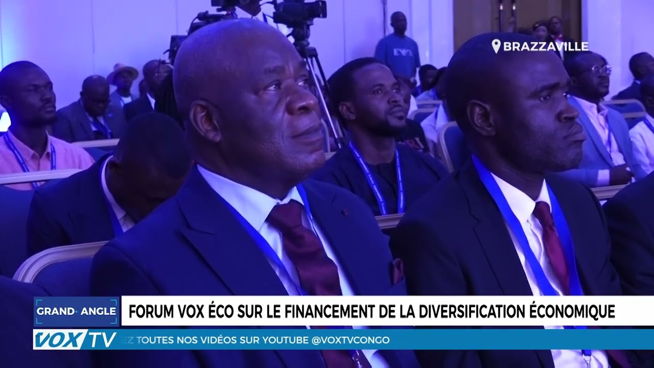 Forum vox éco sur le financement de la diversification économique