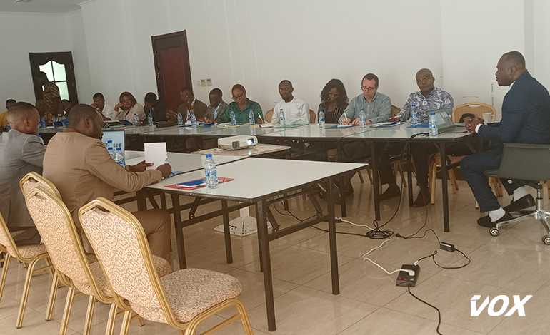 Les cadres financiers renforcent leurs compétences Syscohada et en normes IFRS