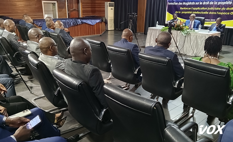 Les magistrats formés à la gestion du droit de la propriété intellectuelle