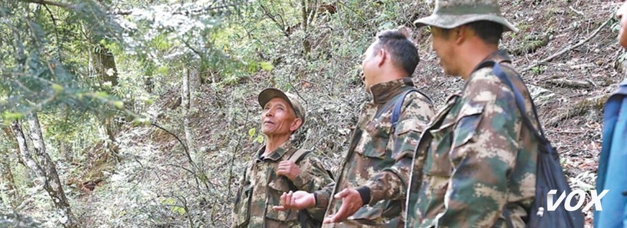 Plus de 30 ans au service de la protection des singes à longue fourrure dorée du Yunnan