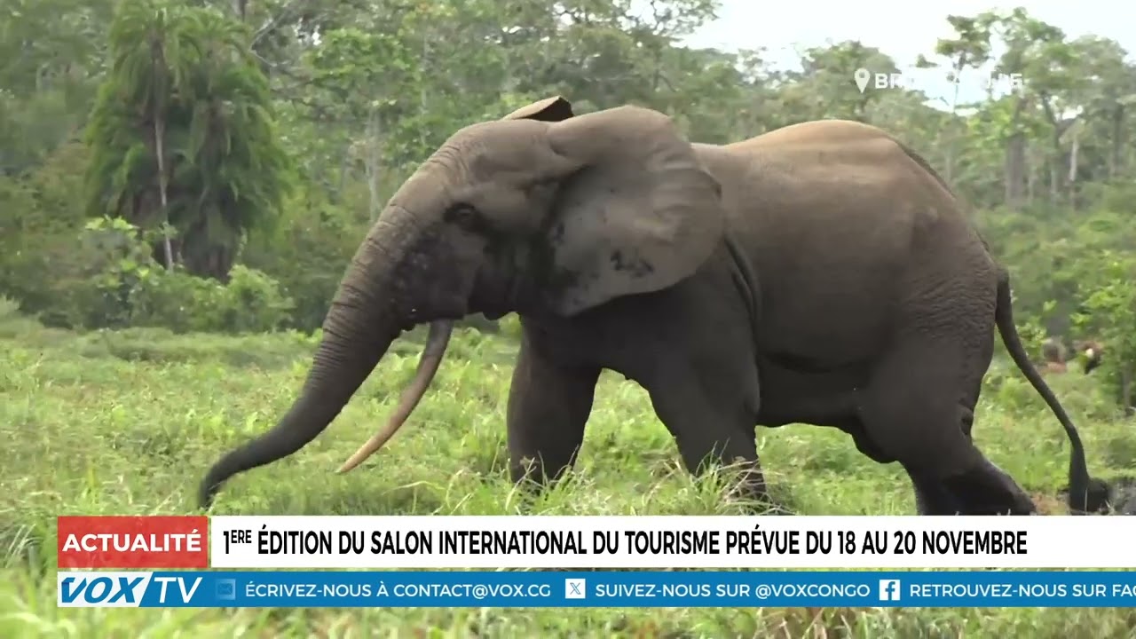 1ere édition du salon international du tourisme prévue du 18 au 20 novembre