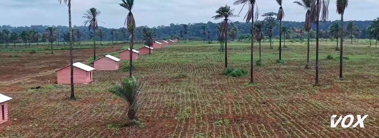 Les zones agricoles protégées de Mayéyé, Moulimba et Kolo boostent la production caféière et vivrière dans la Lekoumou