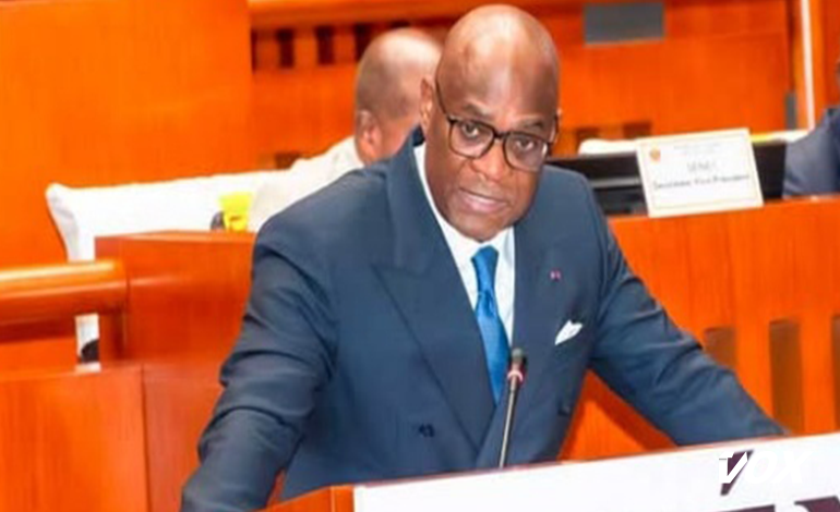 Christian Yoka édifie les sénateurs sur la loi de finances portant règlement définitif 2024 et celle rectificative 2025