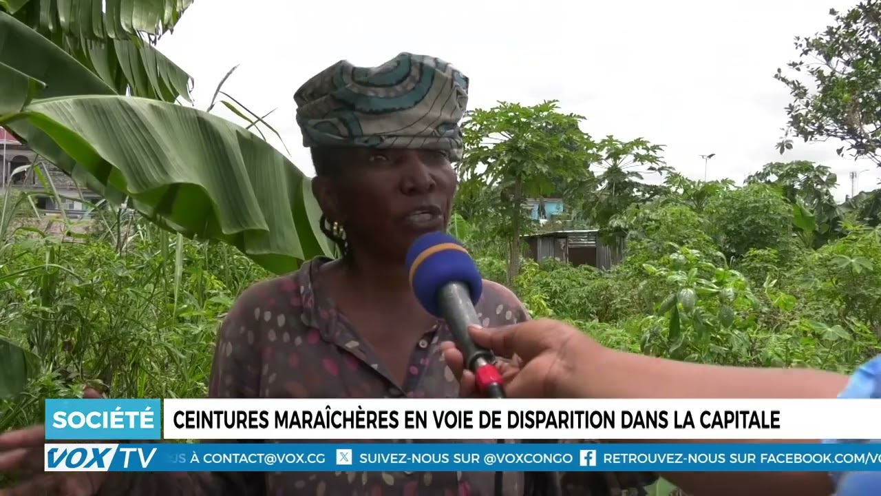 Ceintures maraîchères en voie de disparition dans la capitale