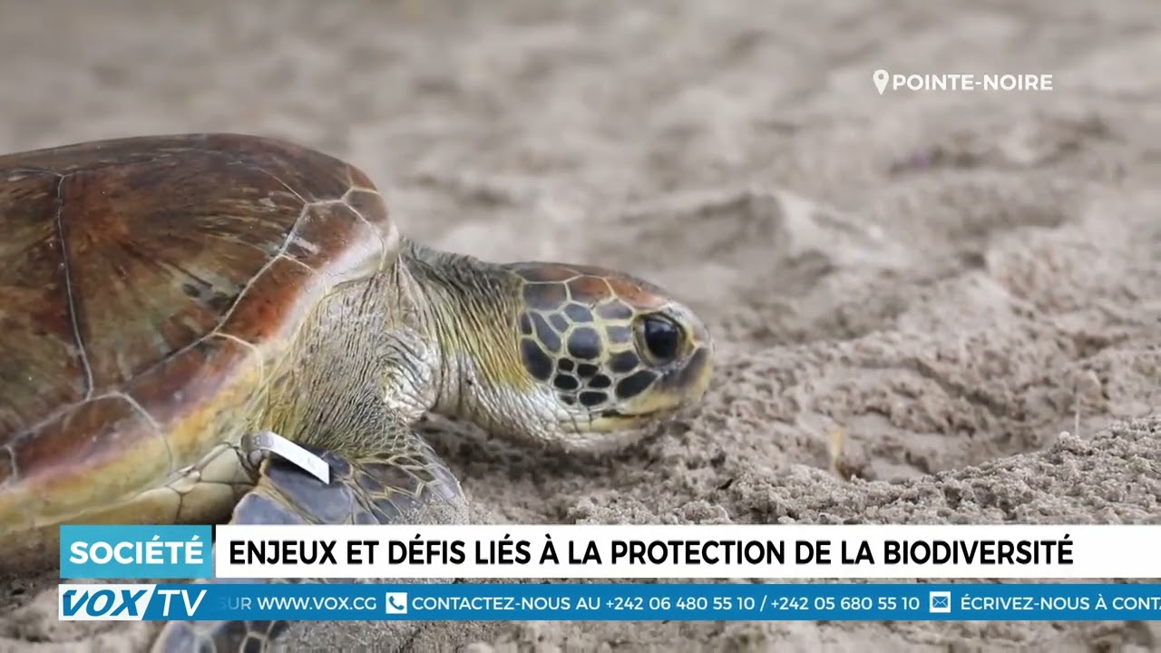 Enjeux et défis liés à la protection de la biodiversité