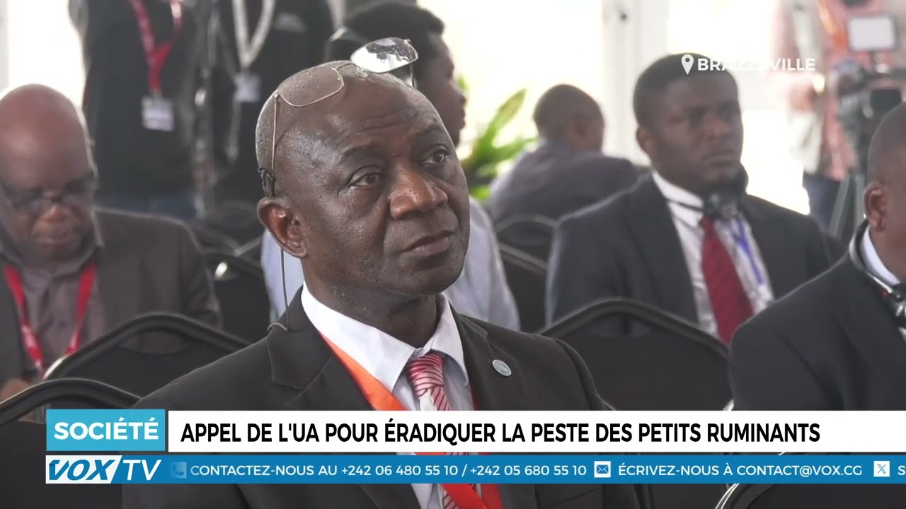Appel de l&rsquo;UA pour éradiquer la peste des petits ruminants