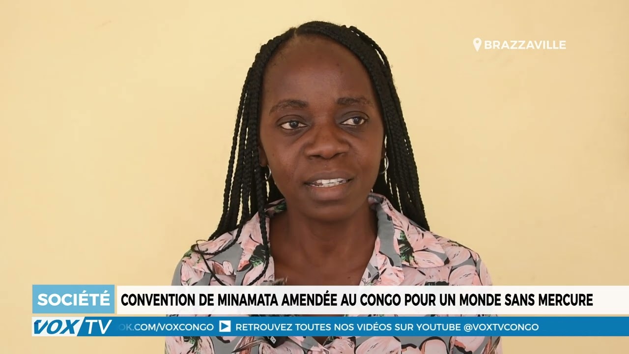 Convention de Minamata amendée au Congo pour un monde sans mercure