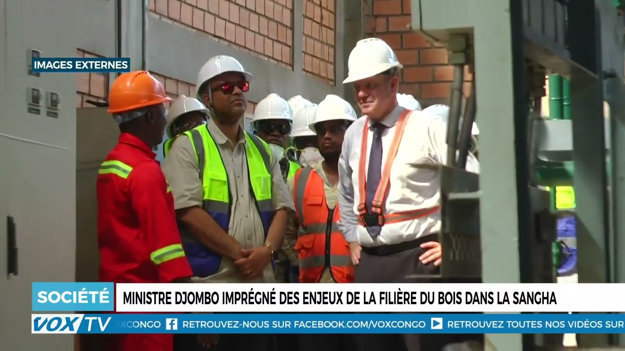 Ministre Djombo imprégné des enjeux de la filière du bois dans la sangha