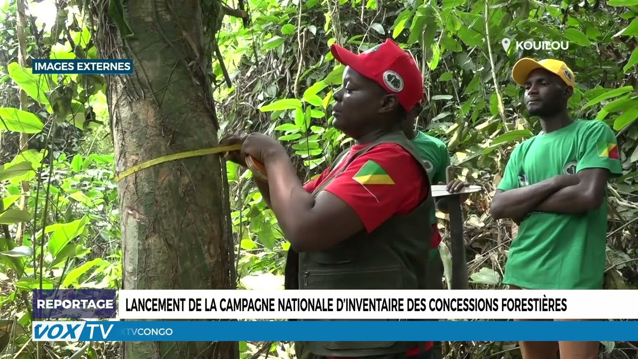 Lancement de la campagne nationale d’inventaire des concessions forestières