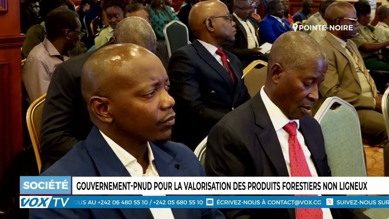 Gouvernement PNUD pour la valorisation des produits forestiers non ligneux